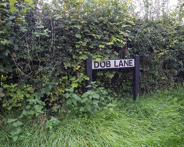 Dob Lane